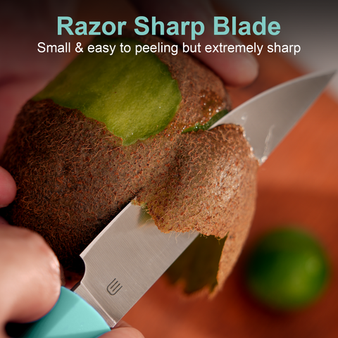 Butterfork Purest  3.5'' Paring Knife with Oak Sheath, Morden Vegetable & Fruit Knife, AR-RPM9 Stainless Steel, Replaceable ABS Handle, Turquoise Green