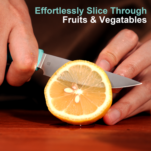 Butterfork Purest  3.5'' Paring Knife with Oak Sheath, Morden Vegetable & Fruit Knife, AR-RPM9 Stainless Steel, Replaceable ABS Handle, Turquoise Green